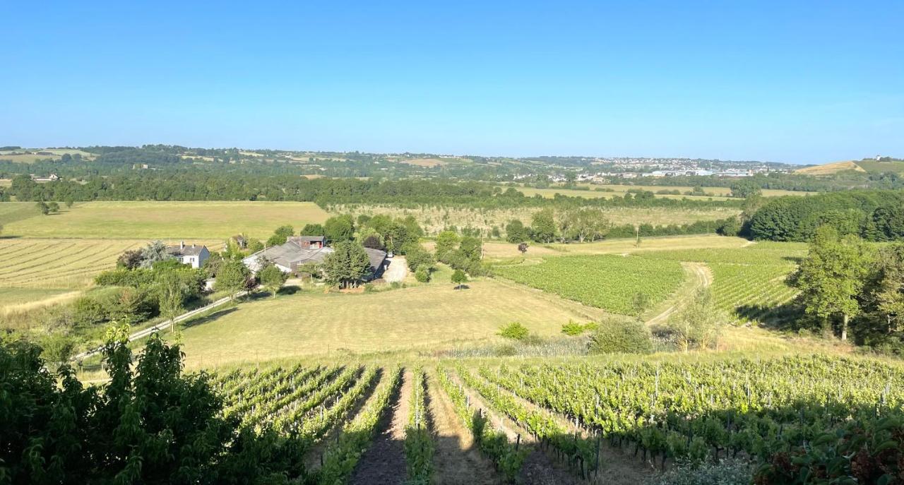 Maison Des Coteaux Blancs Chaudefonds-sur-Layon Экстерьер фото