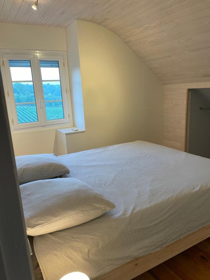 Maison Des Coteaux Blancs Chaudefonds-sur-Layon Экстерьер фото