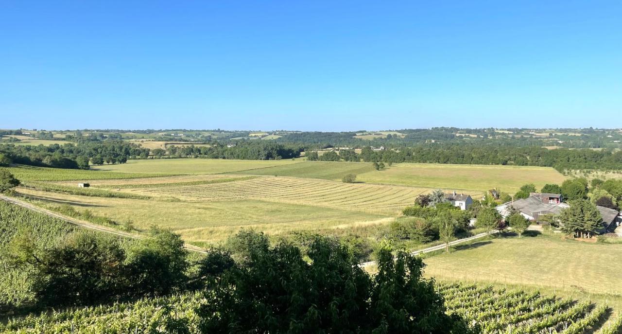 Maison Des Coteaux Blancs Chaudefonds-sur-Layon Экстерьер фото